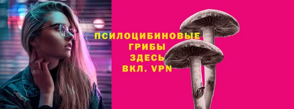 амф Аркадак